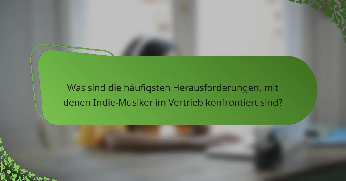Was sind die häufigsten Herausforderungen, mit denen Indie-Musiker im Vertrieb konfrontiert sind?