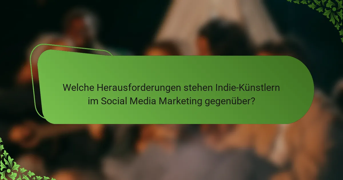 Welche Herausforderungen stehen Indie-Künstlern im Social Media Marketing gegenüber?