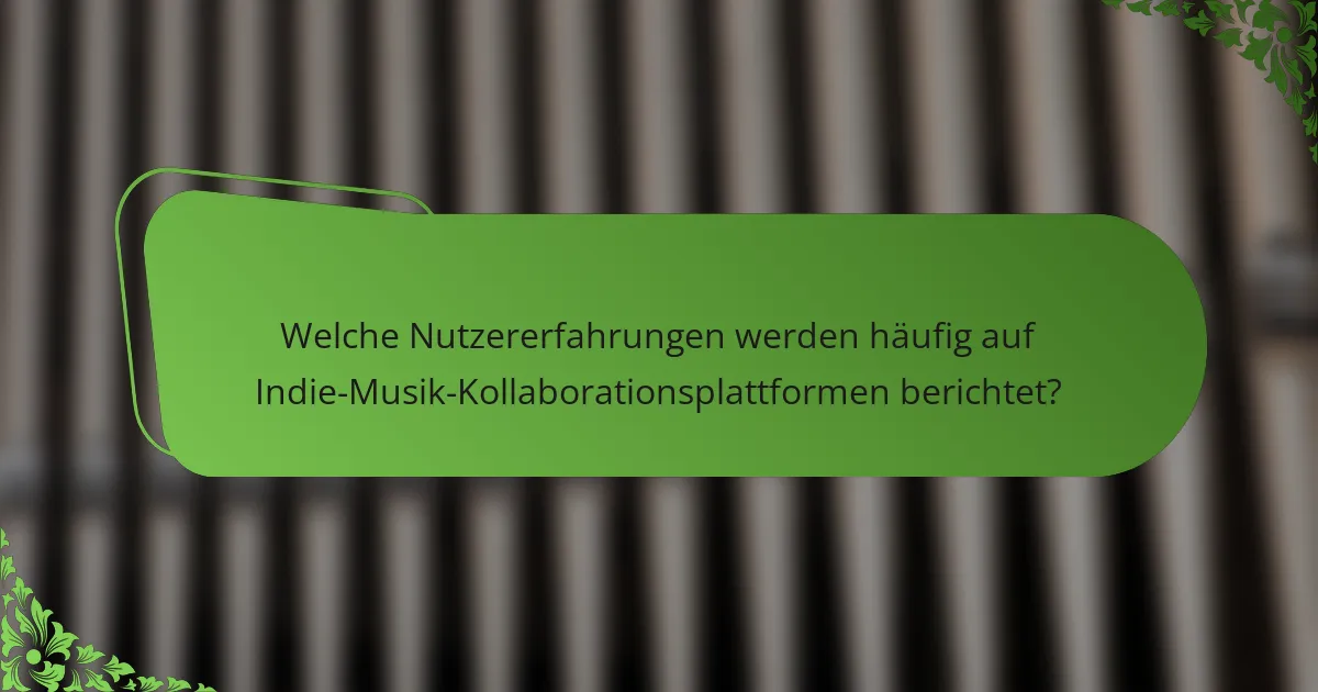Welche Nutzererfahrungen werden häufig auf Indie-Musik-Kollaborationsplattformen berichtet?