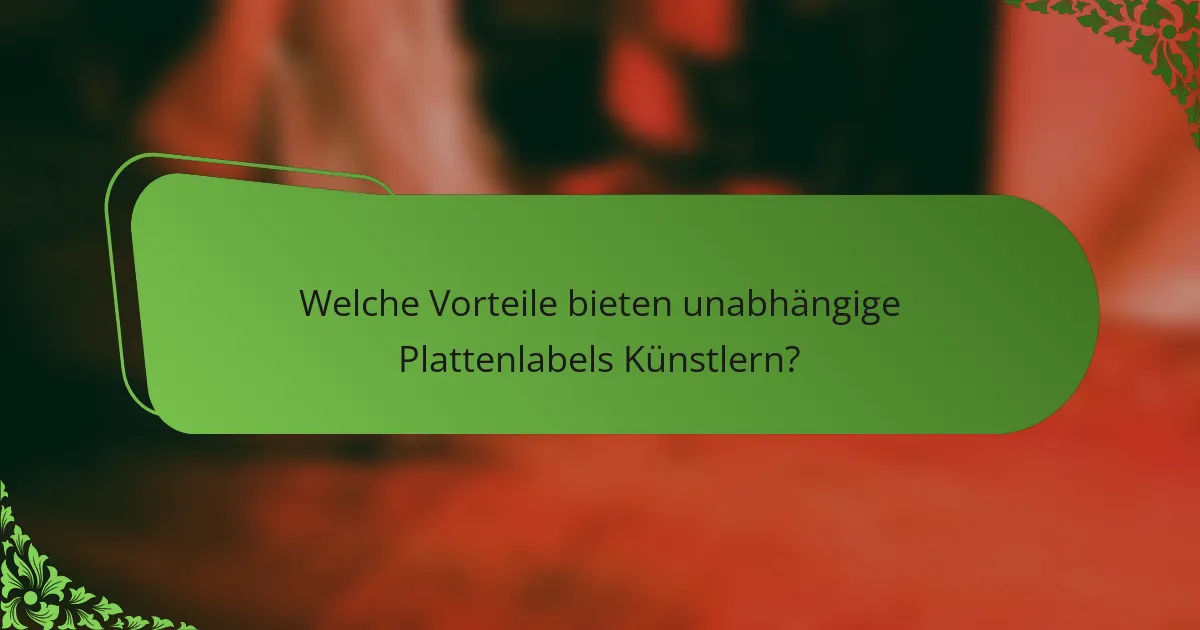 Welche Vorteile bieten unabhängige Plattenlabels Künstlern?