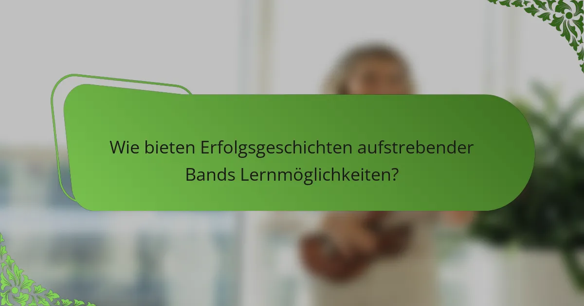 Wie bieten Erfolgsgeschichten aufstrebender Bands Lernmöglichkeiten?
